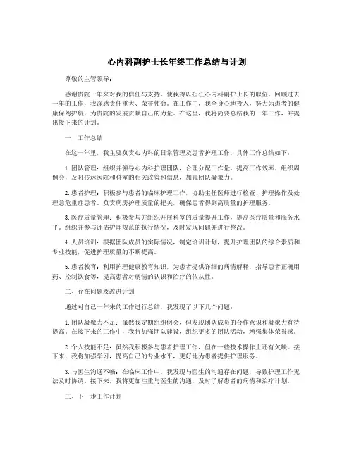 心内科副护士长年终工作总结与计划