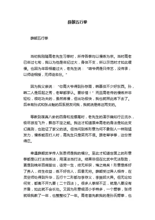 薛颠五行拳