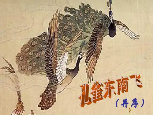 《孔雀东南飞》讲课稿.ppt
