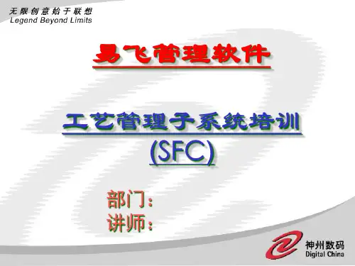 ERP系统软件培训-神州数码-SFC培训幻灯片