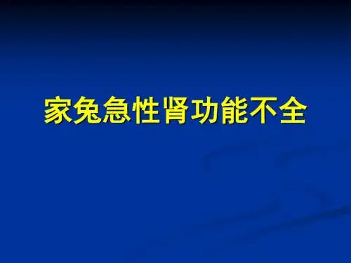 家兔急性肾功能不全