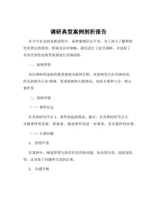 调研典型案例剖析报告