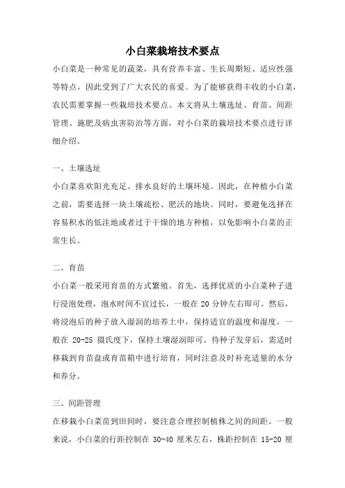 小白菜栽培技术要点
