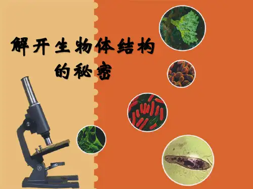 湘教版五年级科学下册 (解开生物体结构的秘密)新课件