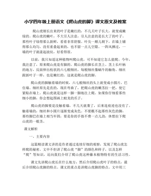 小学四年级上册语文《爬山虎的脚》课文原文及教案