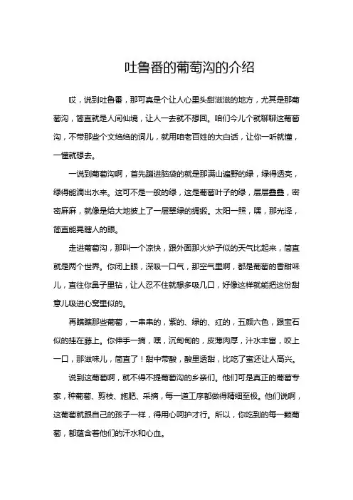 吐鲁番的葡萄沟的介绍