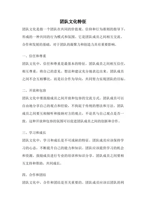 团队文化特征