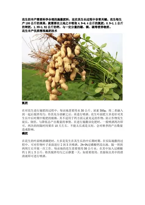花生丰产优质精准施肥技术