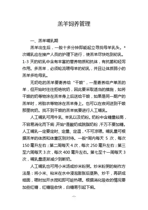 羔羊饲养管理