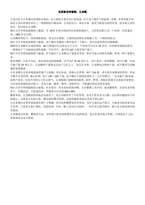 优质新品种集锦：五龙鹅