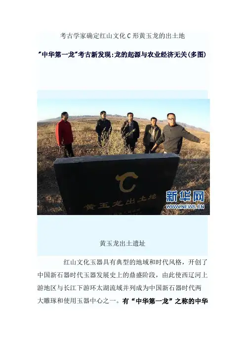 “中华第一龙”考古新发现：龙的起源跟农业经济无关(多图)