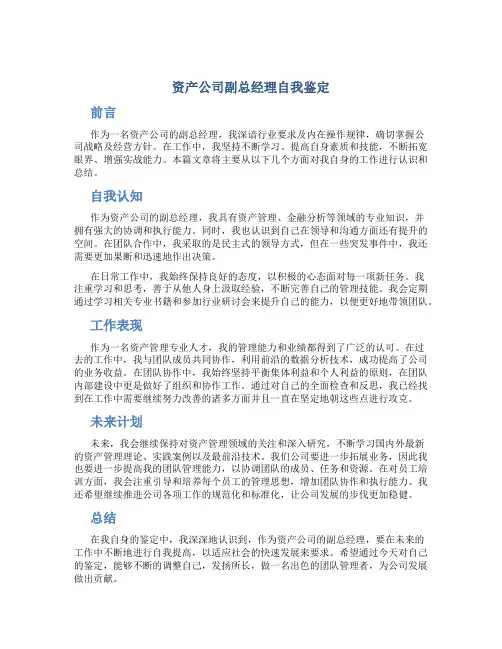 资产公司副总经理自我鉴定