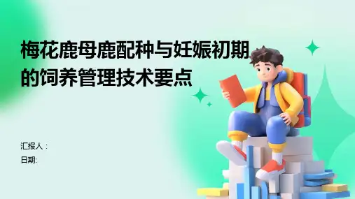 梅花鹿母鹿配种与妊娠初期的饲养管理技术要点