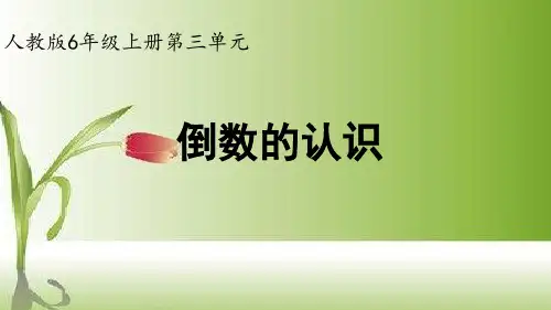 《倒数的认识》(课件)人教版六年级上册数学