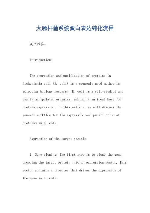 大肠杆菌系统蛋白表达纯化流程