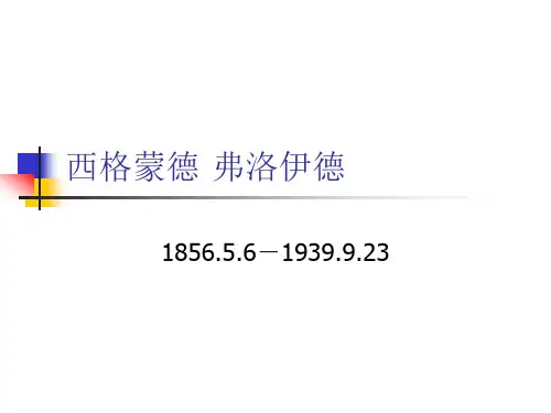 弗洛伊德 简介