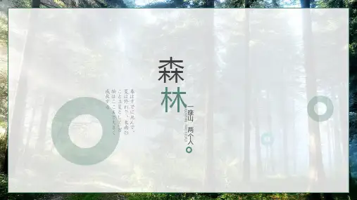 森系宁静小清新通用PPT模板