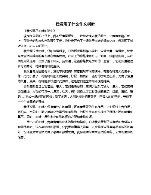 我发现了什么作文树叶