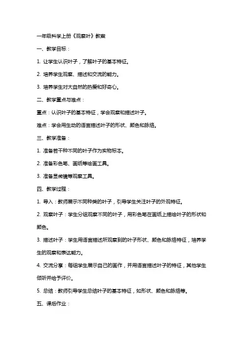 一年级科学上册《观察叶》教案
