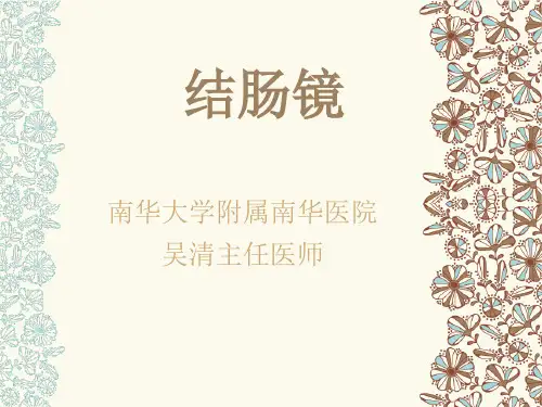 结肠镜ppt