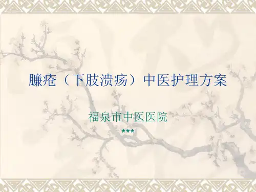 臁疮中医护理的方案