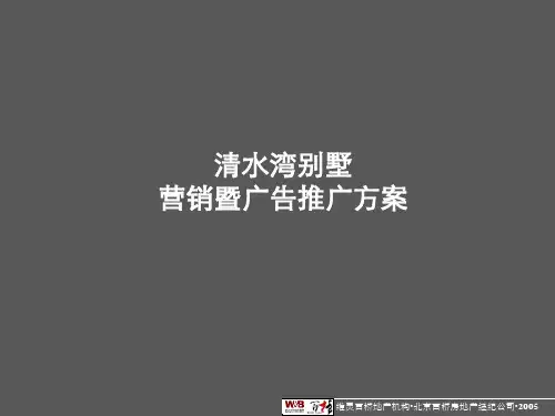 清水湾营销策划及广告推广方案