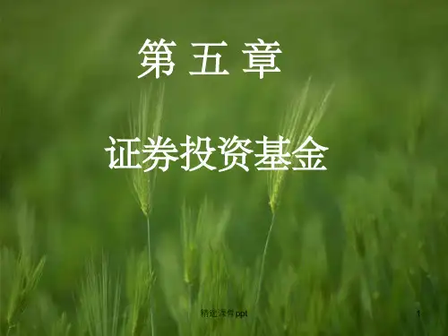 《证券投资基金》PPT课件