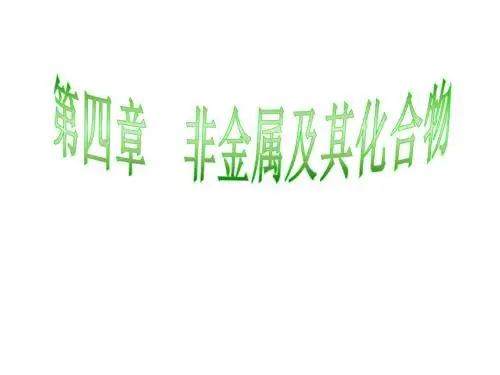 【高中化学】非金属及其化合物PPT课件9