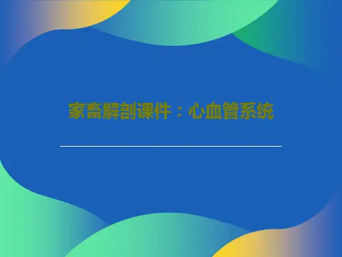 家畜解剖课件：心血管系统67页PPT