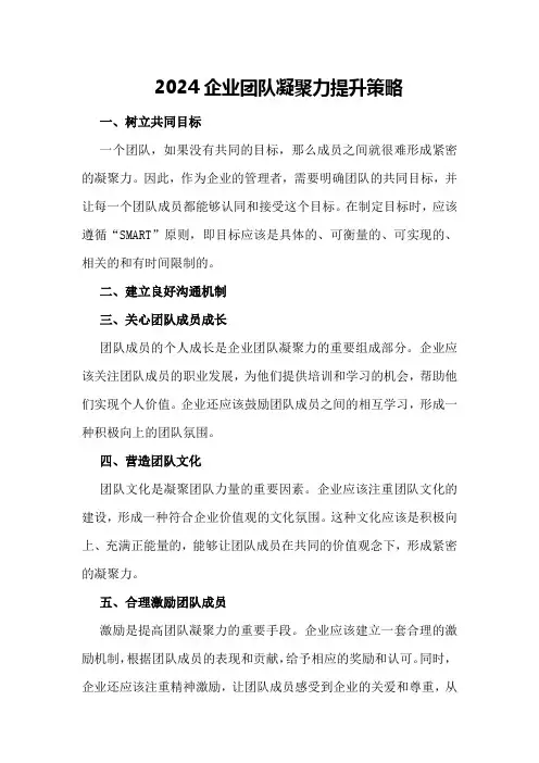 2024企业团队凝聚力提升策略