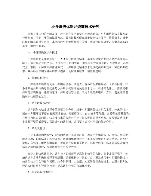 小井眼快优钻井关键技术研究