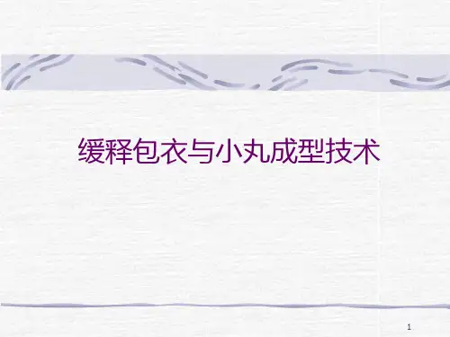 缓释包衣与小丸成型