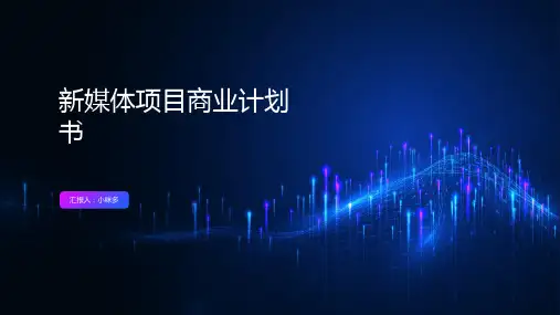 新媒体项目商业计划书