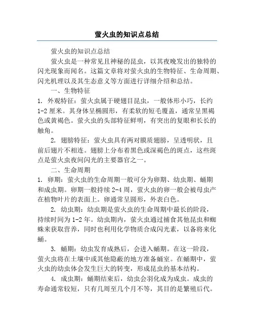 萤火虫的知识点总结