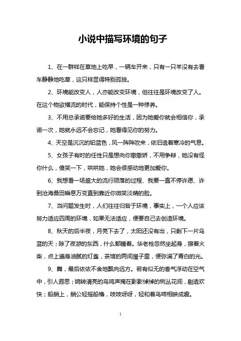 小说中描写环境的句子