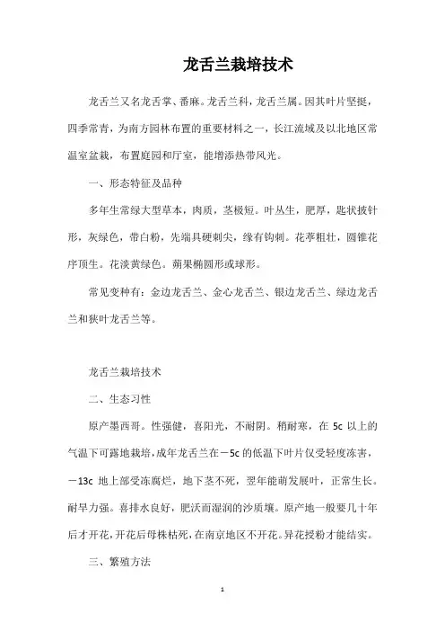 龙舌兰栽培技术