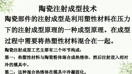 CIM陶瓷粉末注射成型技术ppt课件