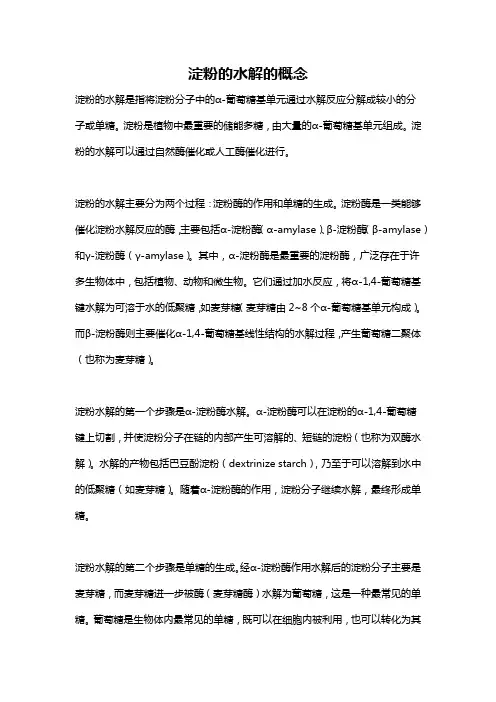 淀粉的水解的概念