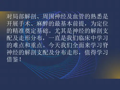 神经支配及走形分布,高清图谱