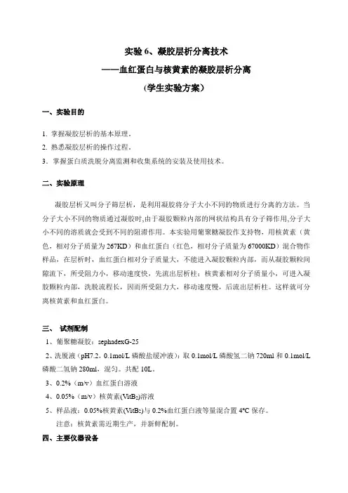 实验6 凝胶层析分离技术—血红蛋白与核黄素的凝胶层析分离
