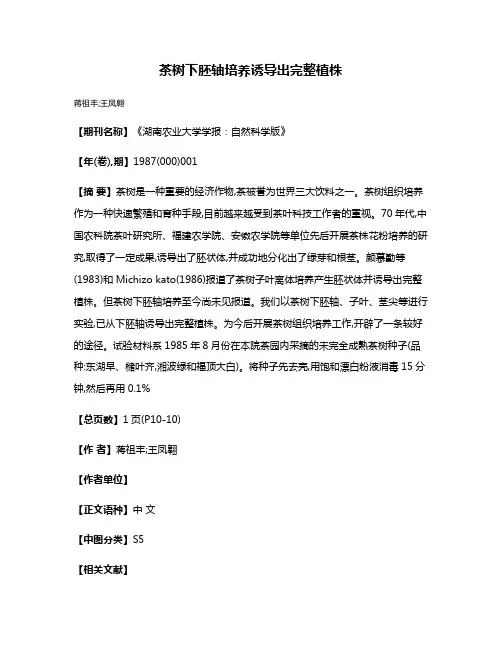 茶树下胚轴培养诱导出完整植株