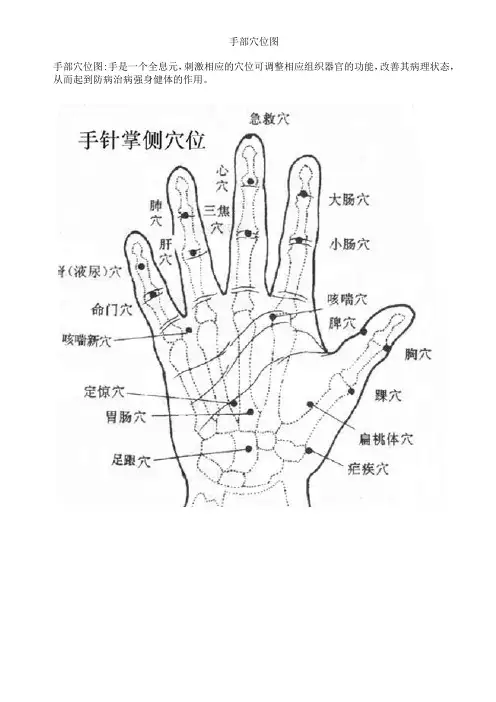 手部穴位