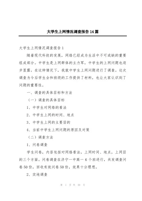 大学生上网情况调查报告14篇