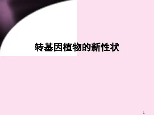各种性状的转基因植物