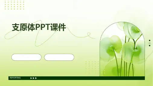2024版支原体PPT课件