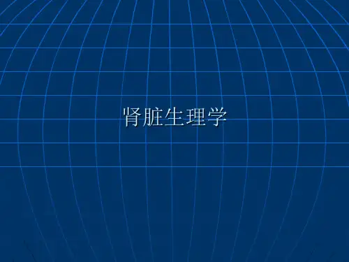 生理肾脏PPT课件