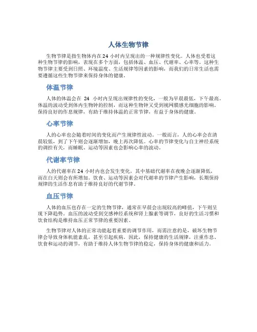 人体生物节律13