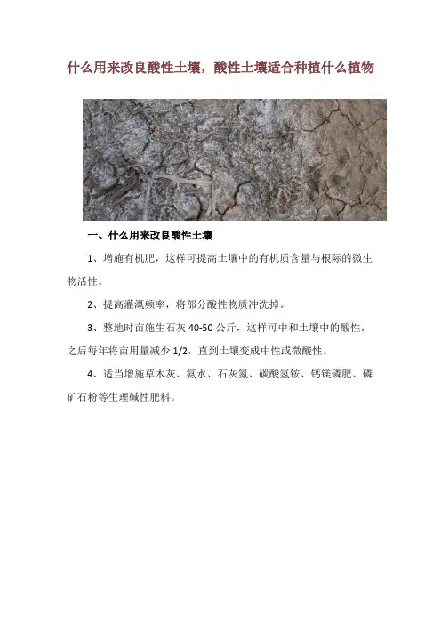 什么用来改良酸性土壤,酸性土壤适合种植什么植物
