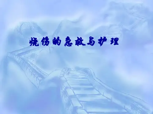 烧伤急救与创面处理(1)