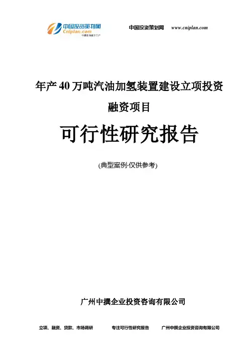 年产40万吨汽油加氢装置建设融资投资立项项目可行性研究报告(中撰咨询)
